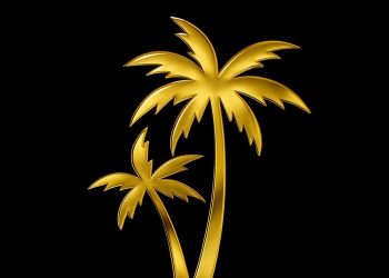 TRPKL: Toronto’s Latin Urban Wave Is Here